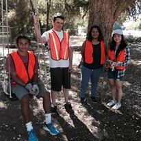 Photo 6 from TREE FRESNO