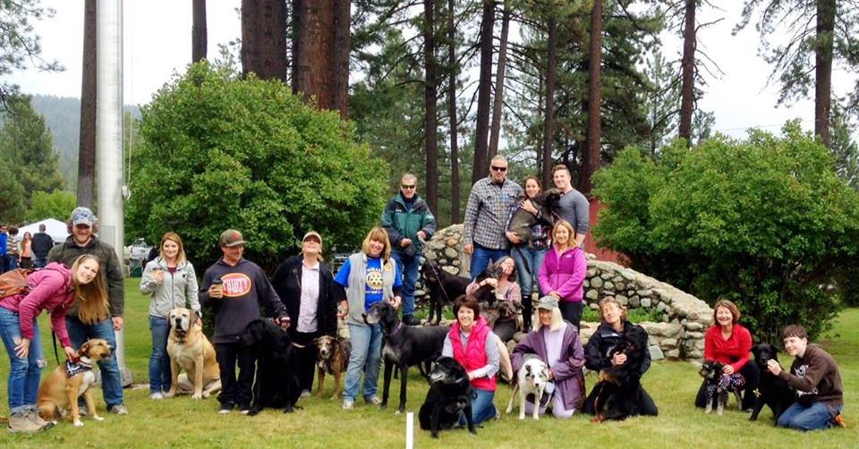 Photo 3 from High Sierra Animal Rescue