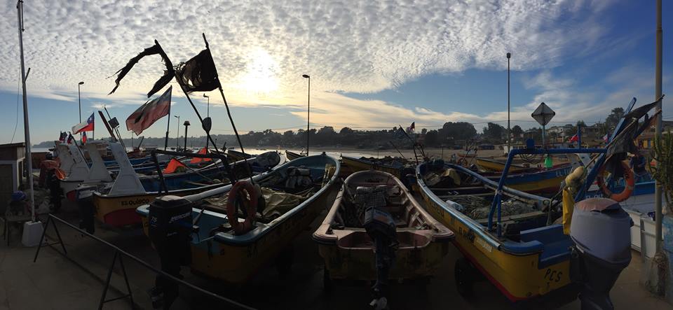 Photo 1 from Advanced Conservation Strategies