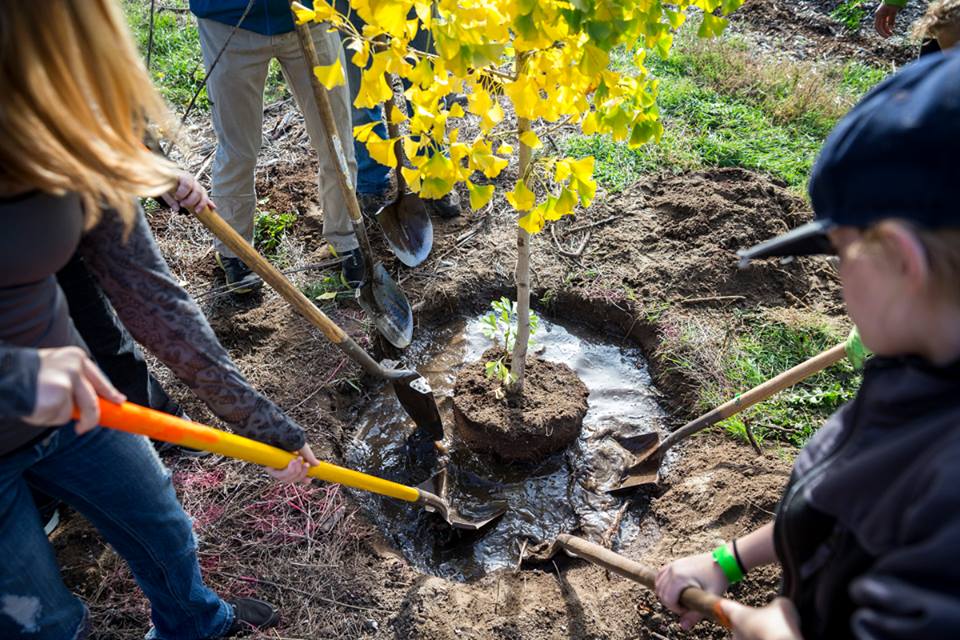 Photo 1 from TreeUtah