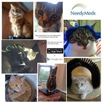 Photo 2 from NEEDYMEDS INC