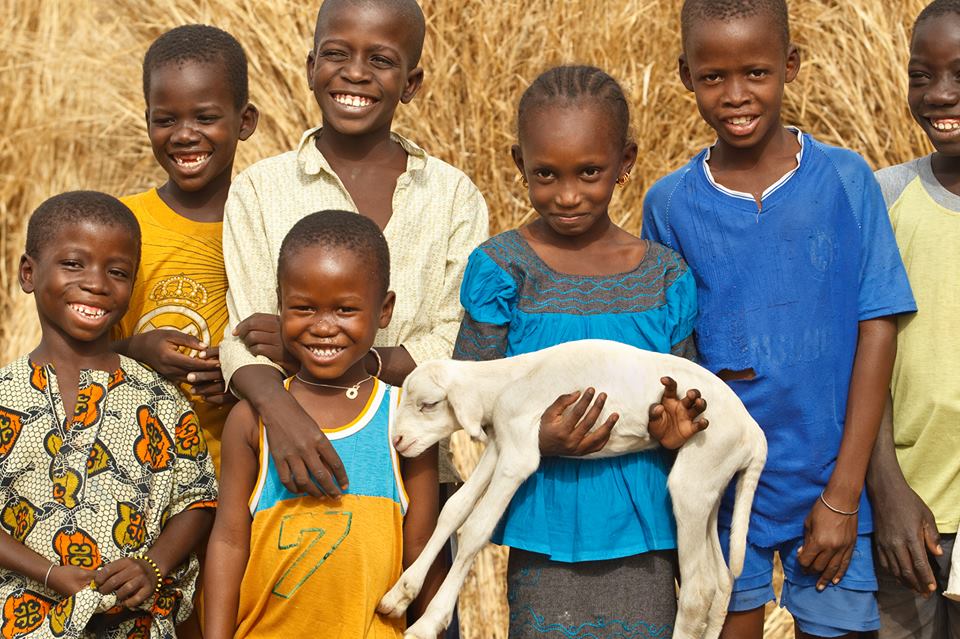 Photo 2 from Heifer International