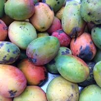 Photo 6 from Level Ground Trading