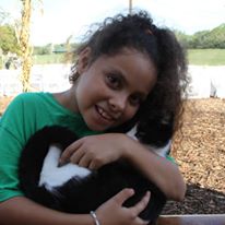 Photo 7 from H.I.S. BridgeBuilders