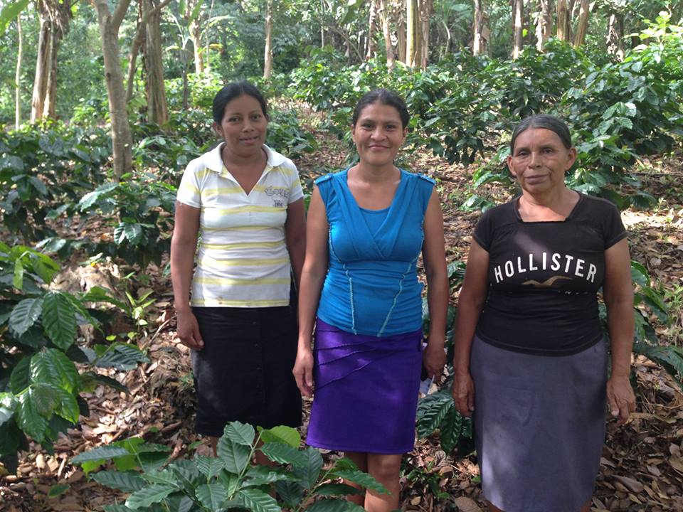 Photo 5 from COMMUNITY AGROECOLOGY NETWORK