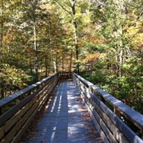 Photo 2 from ENVIRONMENT NORTH CAROLINA INC