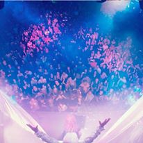 Photo 6 from STEIGER INTERNATIONAL LTD