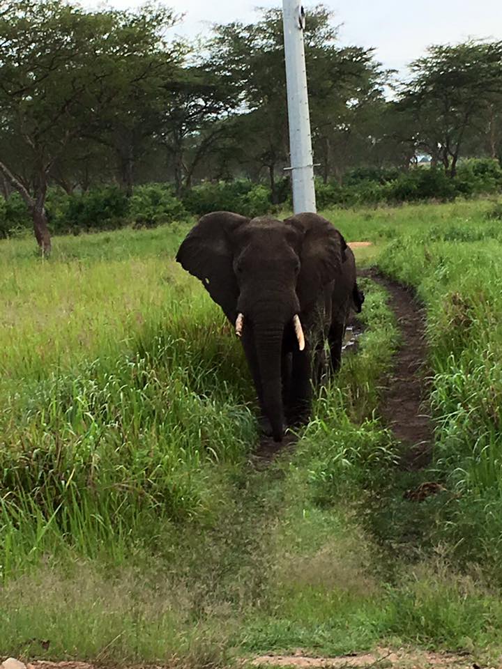 Photo 1 from IMAGING THE WORLD CORP