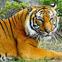 Photo 7 from EcoAgriculture Partners