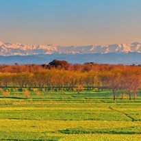 Photo 7 from The American Pakistan Foundation