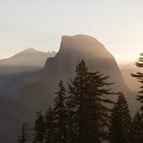 Photo 8 from TREE FRESNO