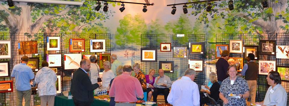 Photo 4 from Eagle Creek Park Foundation, Inc.