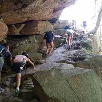 Photo 9 from Norman Bird Sanctuary Trust