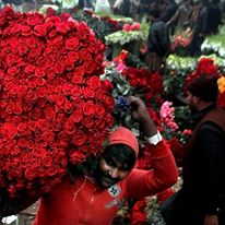 Photo 6 from The American Pakistan Foundation