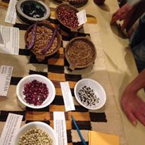 Photo 9 from MULTINATIONAL EXCHANGE FOR SUSTAINABLE AGRICULTURE INC