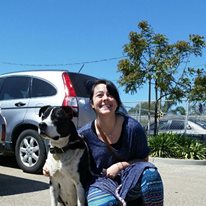 Photo 7 from Canine Adoption and Rescue League