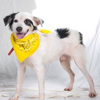 Photo 2 from Photogs for a Cause