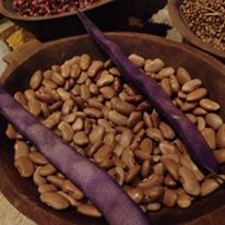 Photo 1 from MULTINATIONAL EXCHANGE FOR SUSTAINABLE AGRICULTURE INC