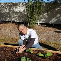 Photo 4 from Vincent House