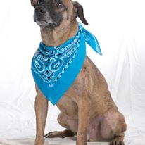 Photo 4 from Photogs for a Cause