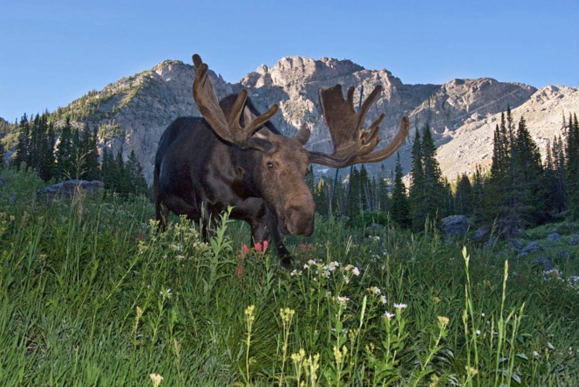 Photo 6 from CITIZENS COMMITTEE TO SAVE OUR CANYONS