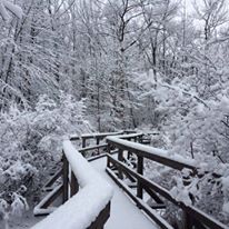 Photo 5 from Great Swamp Watershed Association