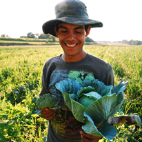 Photo 2 from MULTINATIONAL EXCHANGE FOR SUSTAINABLE AGRICULTURE INC