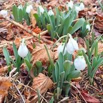 Photo 6 from Great Swamp Watershed Association