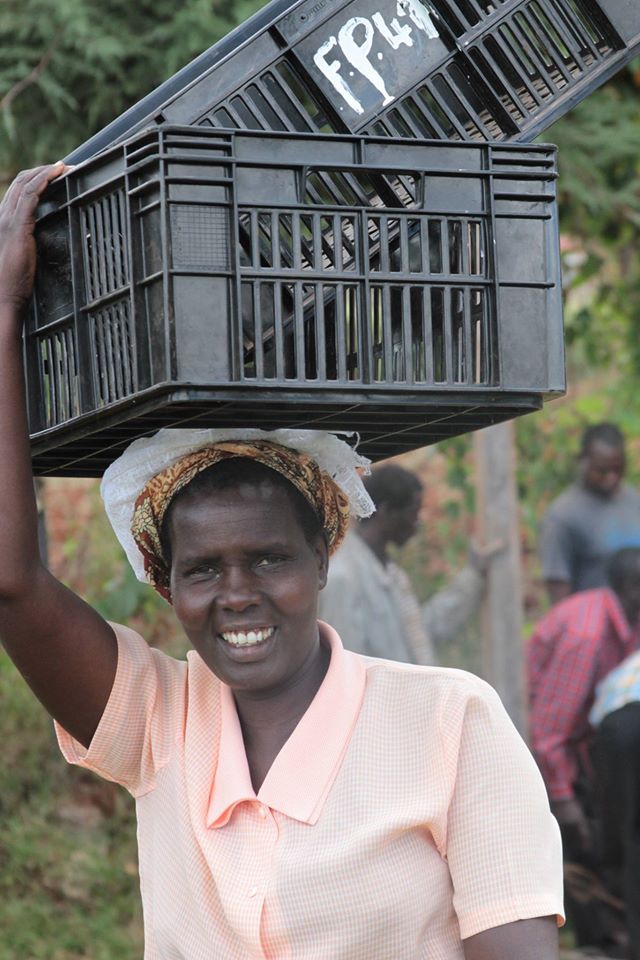 Photo 4 from FRUITED PLAINS INC