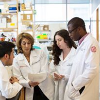 Photo 9 from Cancer Research Institute, Inc.