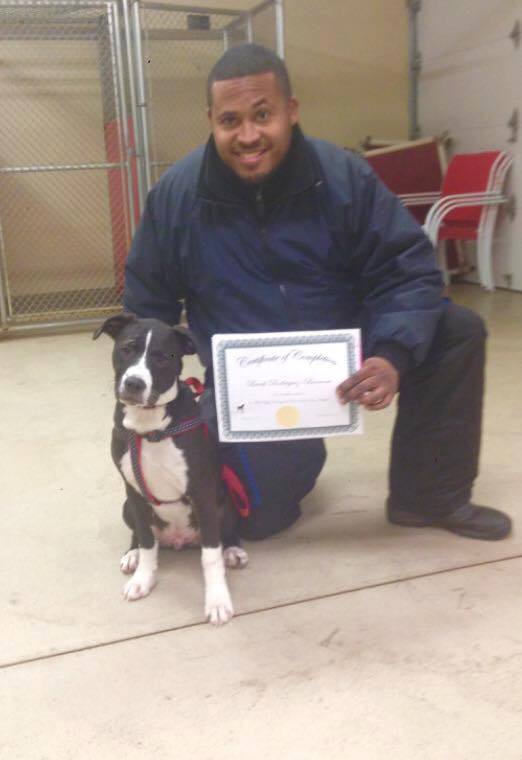 Photo 9 from Ruff Dog Rescue North East