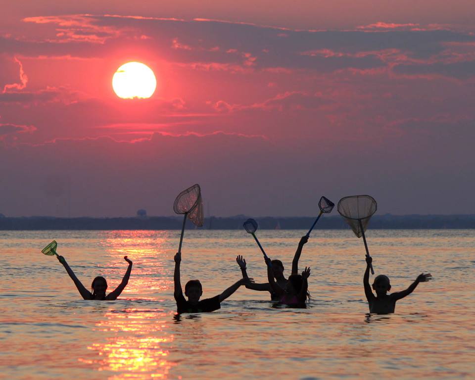 Photo 1 from Chesapeake Bay Foundation, Inc.