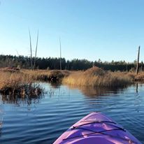 Photo 4 from Adirondack Council, Inc.