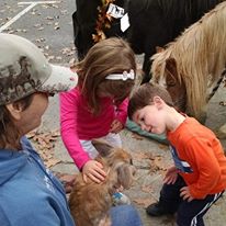 Photo 1 from ANIMALS AS NATURAL THERAPY