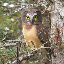 Photo 7 from Adirondack Council, Inc.