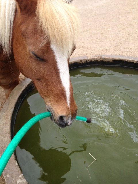 Photo 8 from SADDLE LIGHT CENTER 