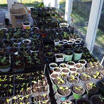 Photo 3 from West Broad Street YMCA