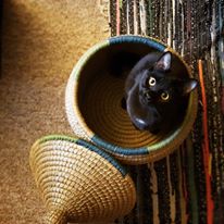 Photo 9 from TEN THOUSAND VILLAGE NATIONAL CAPITAL AREA INC