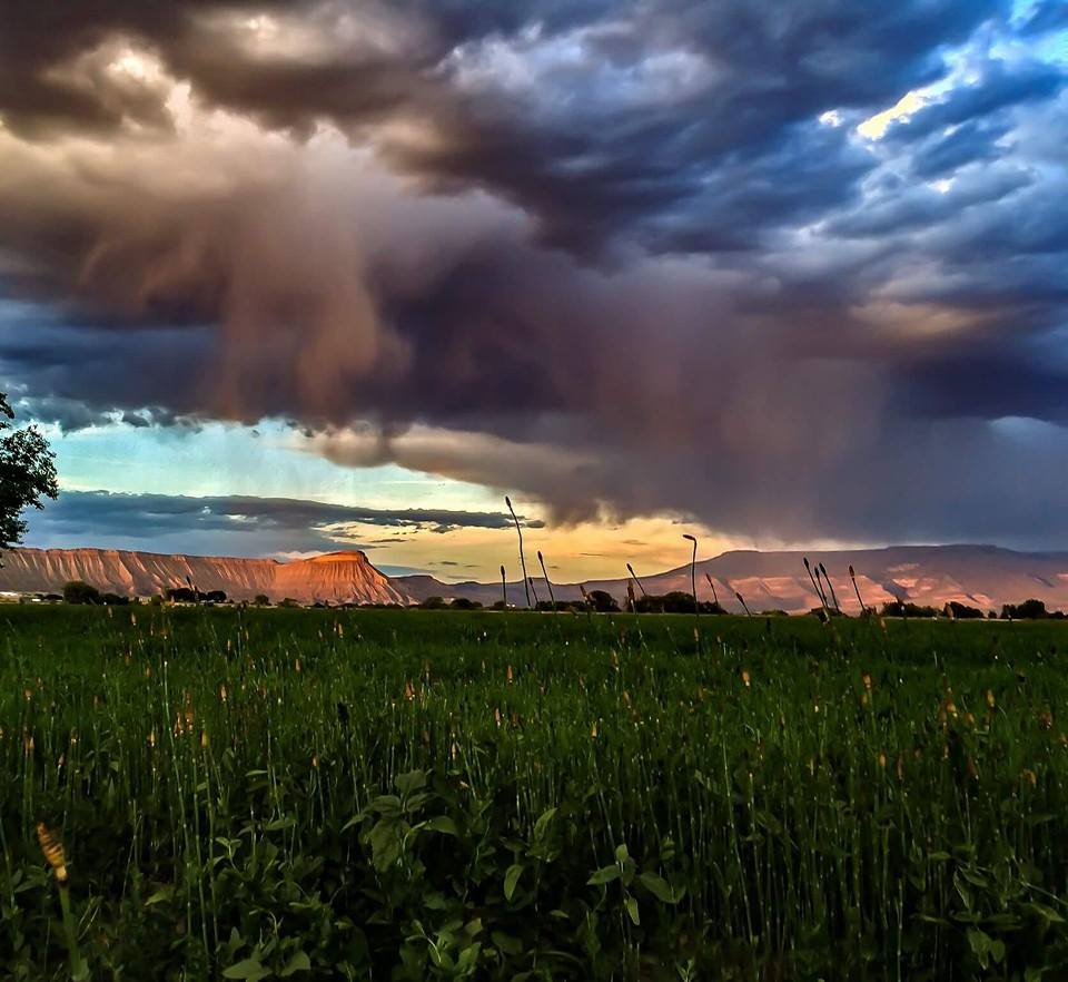 Photo 4 from HOMEWARDBOUND OF THE GRAND VALLEY