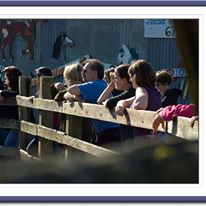 Photo 5 from ANIMALS AS NATURAL THERAPY