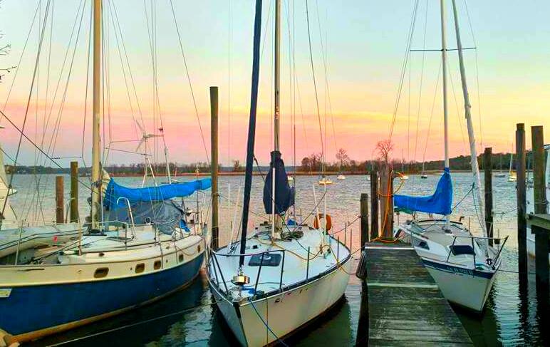 Photo 3 from POTOMAC RIVERKEEPER NETWORK