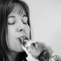 Photo 10 from TELLER COUNTY REGIONAL ANIMAL SHELTER