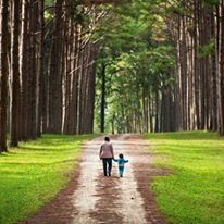 Photo 8 from CNATURENET (Children and Nature Network)