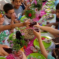 Photo 1 from Hand in Hand American Friends of the Center for Jewish Arab Education in Israel