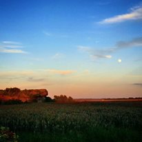 Photo 6 from Norman Bird Sanctuary Trust