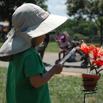 Photo 4 from POLLINATOR PARTNERSHIP