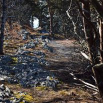 Photo 8 from Norman Bird Sanctuary Trust