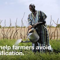 Photo 2 from EcoAgriculture Partners