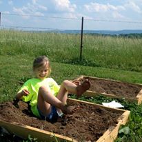 Photo 8 from Blue Monarch