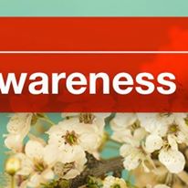 Photo 2 from The ALS Association